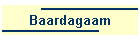 Baardagaam