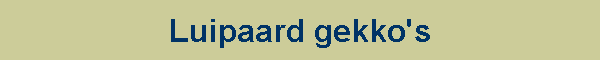 Luipaard gekko's