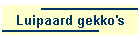 Luipaard gekko's
