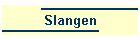 Slangen
